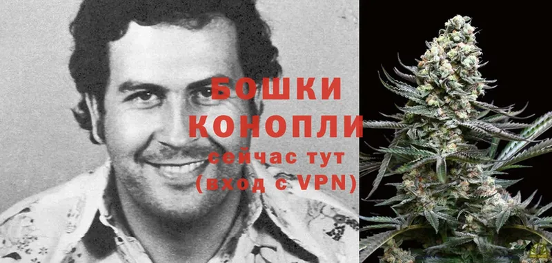 Каннабис SATIVA & INDICA  Остров 